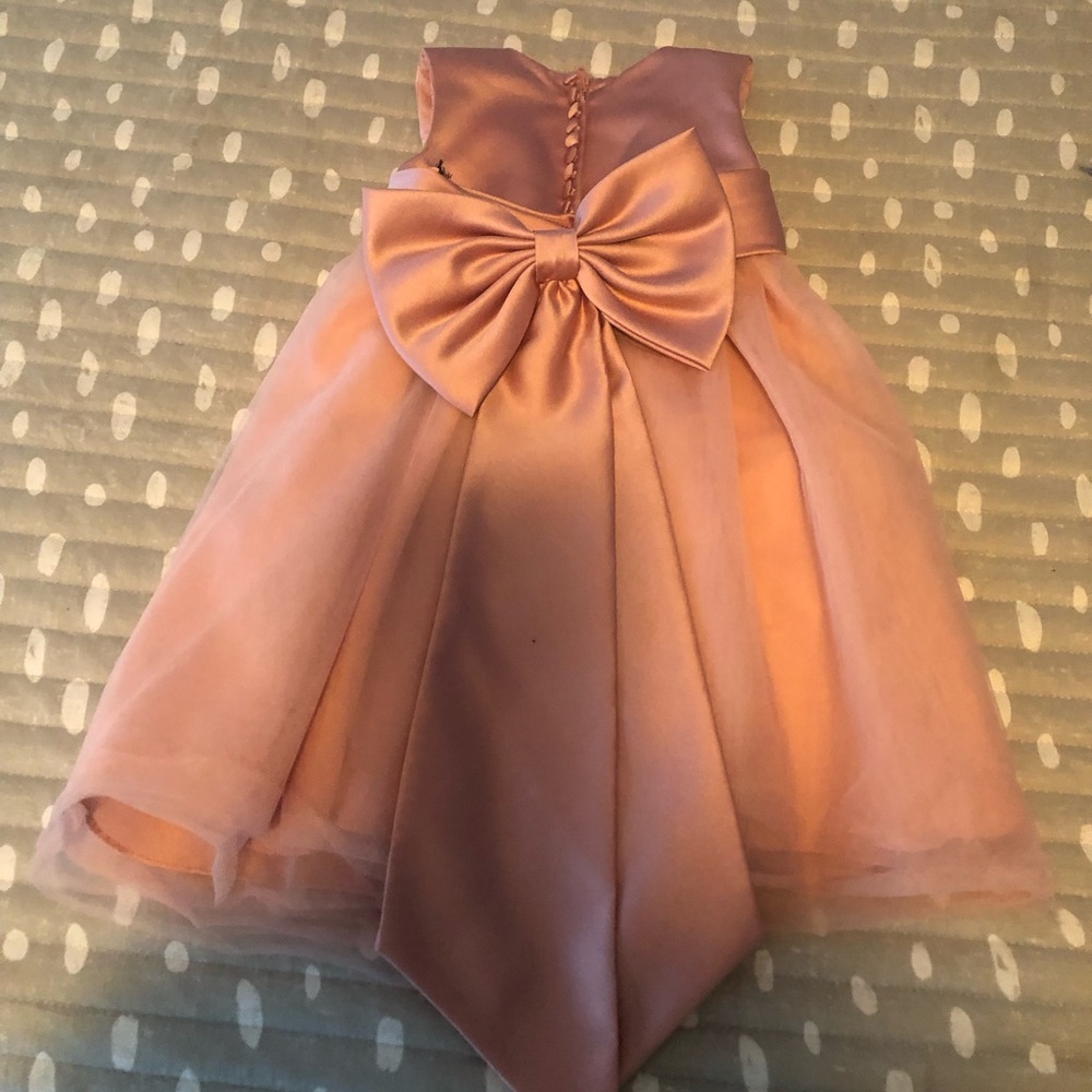 David’s Bridal flower girl dress